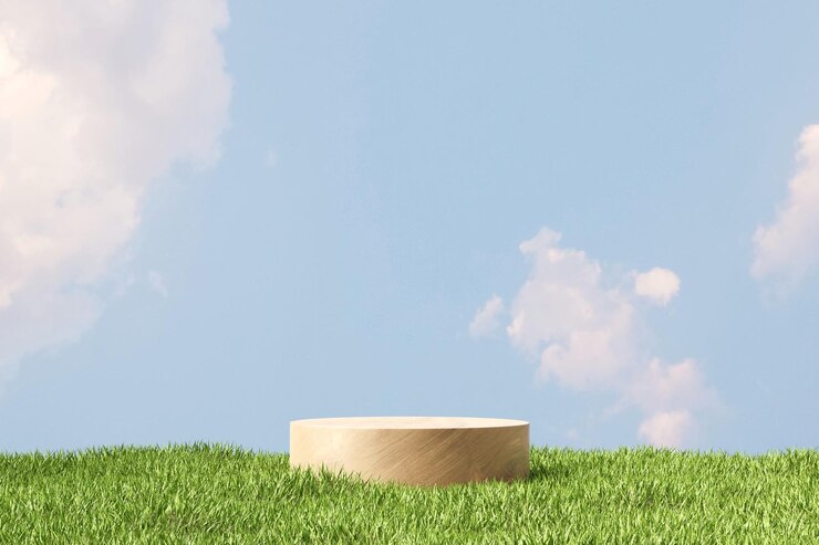 Photo 3d rendering platform podium with plant product presentation background