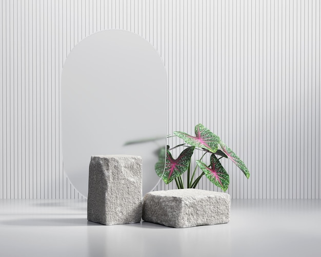 3D rendering platform podium with plant product presentation background