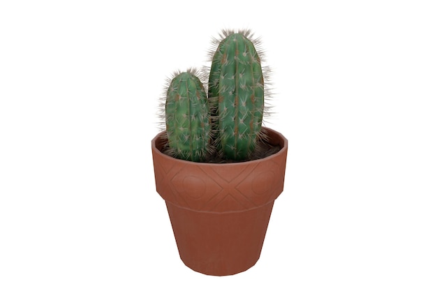 3d rendering realistic potted cactus