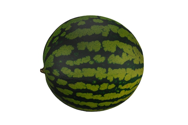 3d rendering realistic watermelon fruit