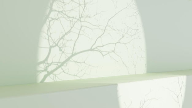 3D rendering Shadow of the Tree on the Green Empty Wall Green E