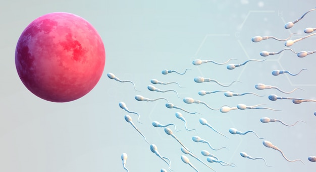 Foto rendering 3d contenuto scientifico di cellule uovo e sperma.
