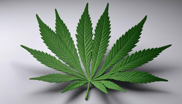 3D-rendering van marihuana blad