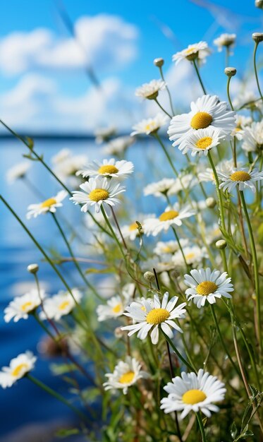 3D rendering van prachtige bloemen UHD behang