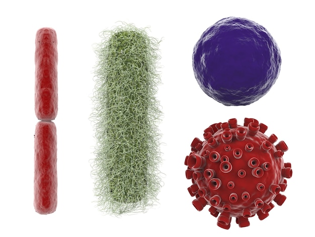 3d 렌더링 다양 한 바이러스와 박테리아 화이트 절연