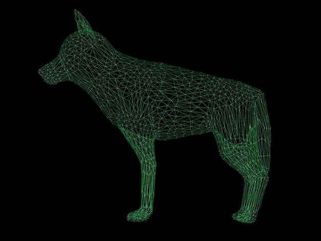 3d rendering wireframe polygonal wolf isolated on black