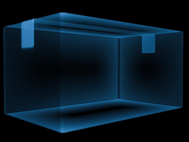 블랙에 고립 된 3d 렌더링 x 레이 판지 상자