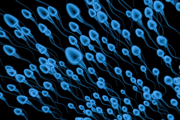 3d rendering x ray group of sperms on black background