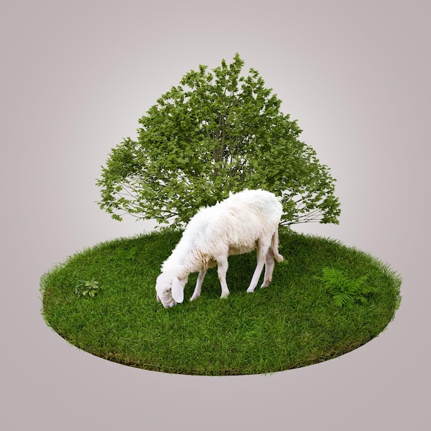 Rendering 3d giovane pecora bianca che mangia erba verde sul campo con il grande albero eid adha concept