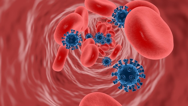 3D 렌더링 코로나바이러스와 혈액 세포가 혈관에 흐른다