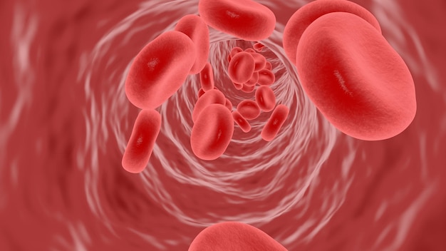 3d renderingred blood cells flow in blood vessels