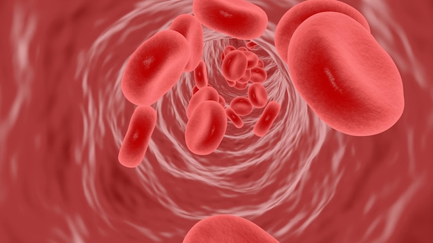 3D renderingRed blood cells flow in blood vessels