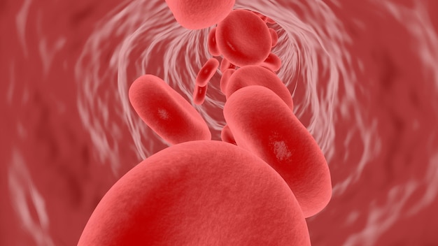 3D renderingRed blood cells flow in blood vessels