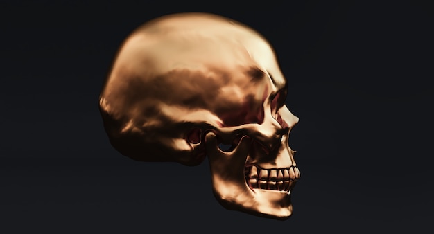 3D Set of Human skulls isolated on blackbackground, 3d render