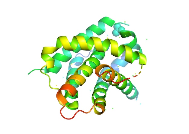 3d structure of the protein molecule