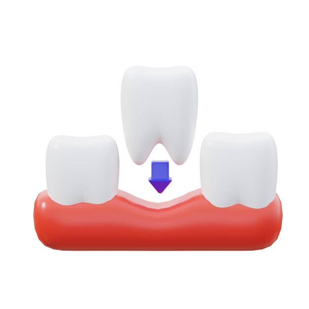 3차원 치아 보충 그림