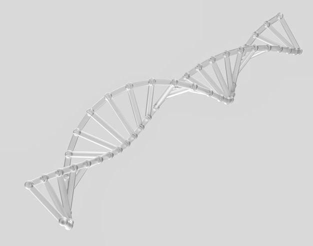 3d Transparent DNA helix with futuristic look symbolizing genetics and biotechnology 3d illustration