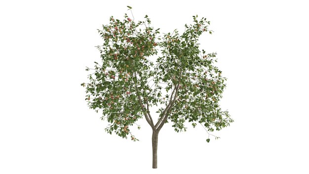 3d trees background scene white