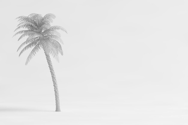 3D Tropical palm tree