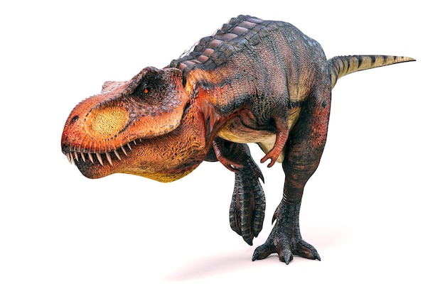 3d Tyrannosaurus rex render on white background