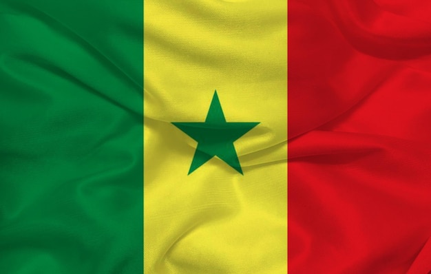 3d Vlag van Senegal op de achtergrond