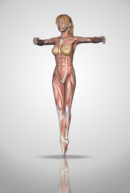 Foto 3d vrouwelijke figuur in ballet pose met spierkaart textuur