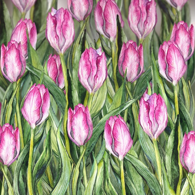 3d fiore acquerello floreale tulipano rosa giardino aiuola natura modello texture di sfondo