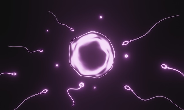 3D-weergave. Roze sperma en eicel.