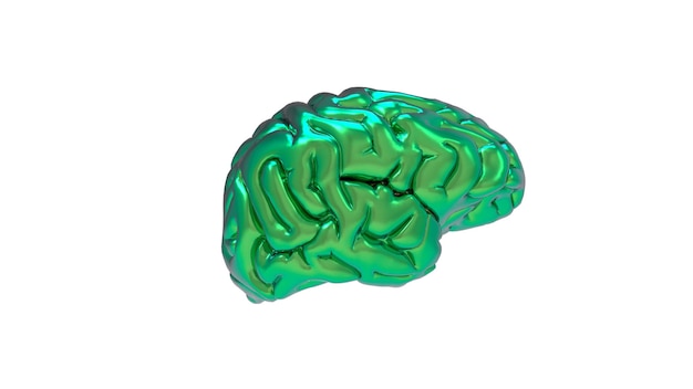 3D-weergave van Brain op witte achtergrond