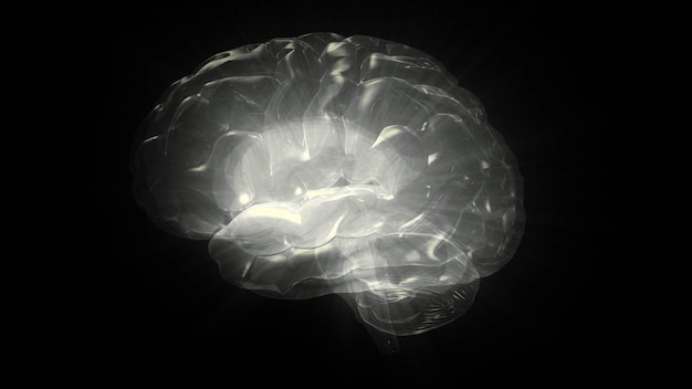 3D-weergave van een computermodel van een menselijk brein