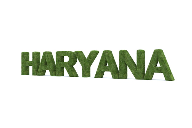3D-weergave van groen gras haryana woord geïsoleerd op een witte achtergrond