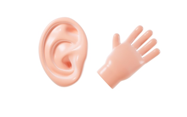 3D-weergave van menselijk oor en hand
