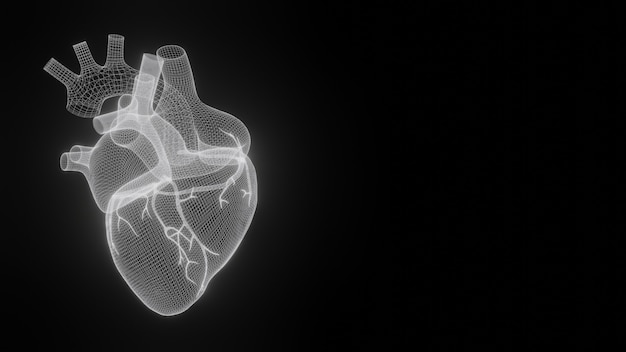 3D wireframe hearts render isolated 