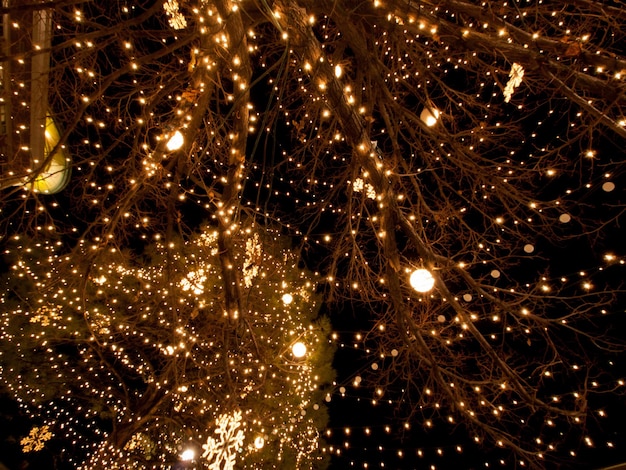 3-е ежегодное освещение рождественской елки на улицах Саутгленна. Денвер, Колорадо.