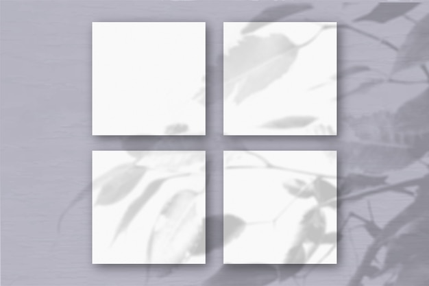 4 square sheets of white textured paper on the grey wall background. Mockup overlay with the plant shadows. Natural light casts shadows from an exotic plant. Flat lay, top view.Horizontal orientation