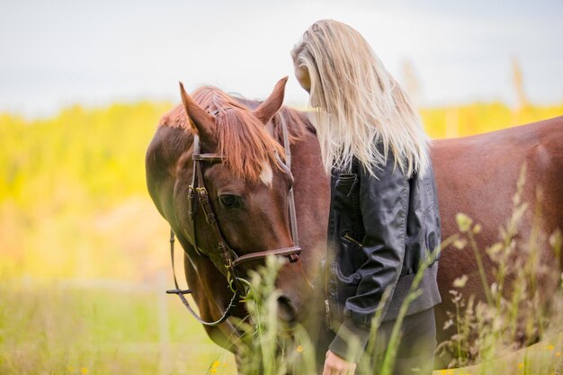 4K-beeld van een mooie vrouw die haar Arabische paard klopt in een schilderachtig veld