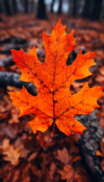 4K colorful leaf AMOLED wallpaper AIGenerated