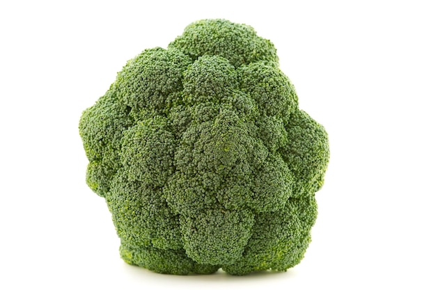 4K Image of CloseUp of Fresh Broccoli on a White Background