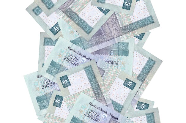 Photo 5 egyptian pounds bills flying down isolated  . many banknotes falling with white copy space on left and right side