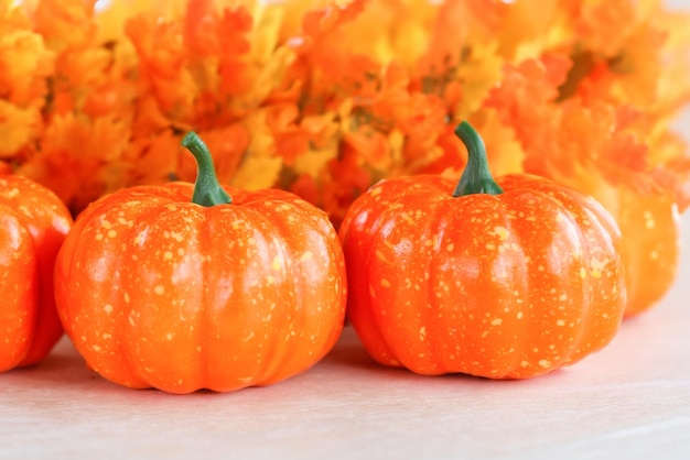 5 festive halloween backdrop with pumpkins and leaves