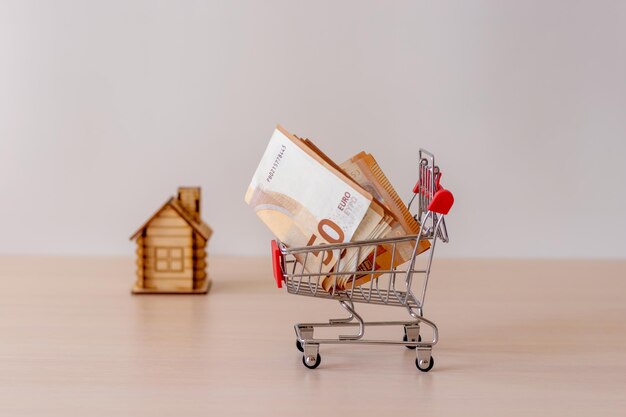 50 euros in a stylized shopping basket on the background of a small figure at home