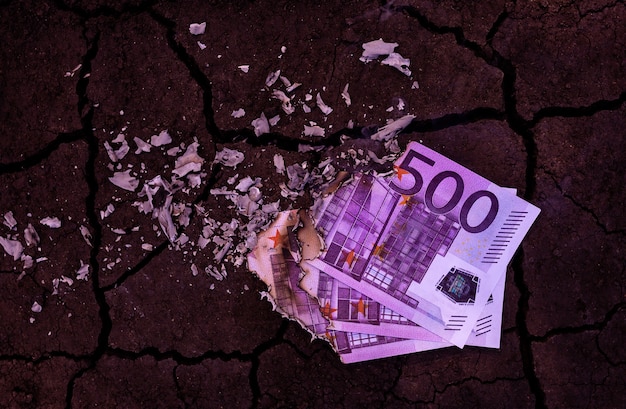 500 euro banknotes burn in the fire