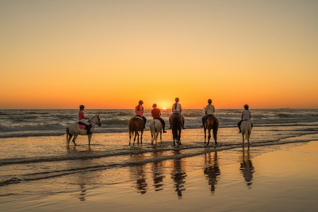 6 young riders mounted on their horses watching the sunset with the horses treading water