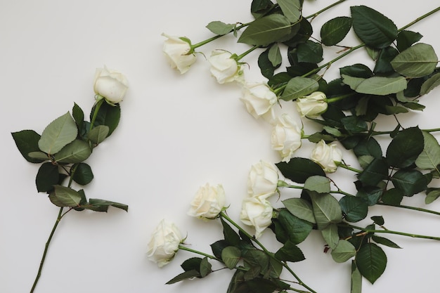 8 марта Женский день фон с белыми розами и место для текста на белом фоне вид сверху