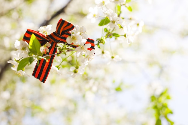 9 mei vakantie lint van StGeorge en kersen bloemen natuurlijke lente achtergrond