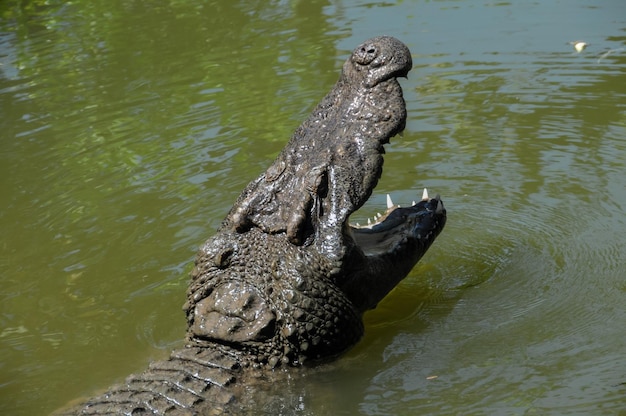 Foto 摁汵⁴慄杮牥畯⁳牃捯摯汩⁥湩愠䜠敲湥圠瑡牥删癩牥�