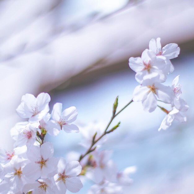 写真 花草树木类摄影图