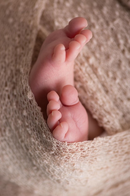 사진 아기 의 손 은 뜨개질 스웨터 에 싸여 있다