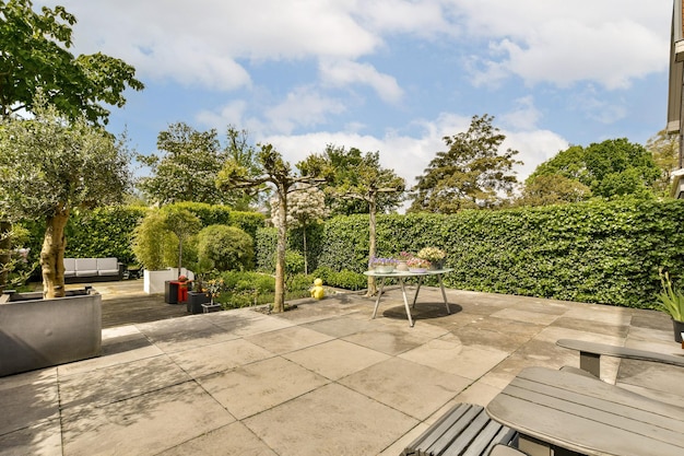 Фото Задний двор с деревьями и растениями на стороне дома, как видно с уровня земли