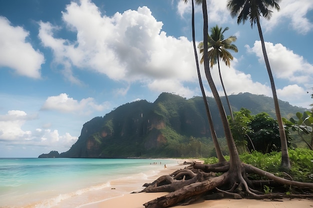 Фото Пляж с пальмой и горой на заднем плане